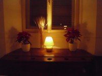 /album/nunti/img-3365-jpg/