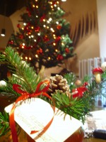 /album/nunti/img-3378-jpg/