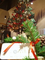 /album/nunti/img-3379-jpg/