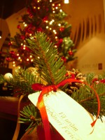 /album/nunti/img-3380-jpg/