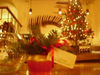 /album/nunti/img-3388-jpg/