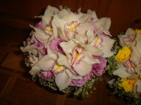 /album/nunti-buchete/a413362-398070730252481-1595418097-o-jpg/