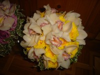 /album/nunti-buchete/b2-jpg/