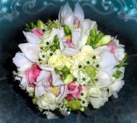 /album/galerie-foto%3a-nun%c5%a3i/b6-jpg1/