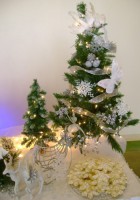 /album/inspiratie-pentru-decoratiuni-de-sarbatori/karena-2011-10-30-4-jpg/