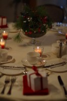 /album/inspiratie-pentru-decoratiuni-de-sarbatori/karena-2011-10-30-20-jpg/