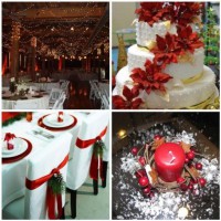 /album/inspiratie-pentru-decoratiuni-de-sarbatori/karena-2011-10-30-27-jpg/